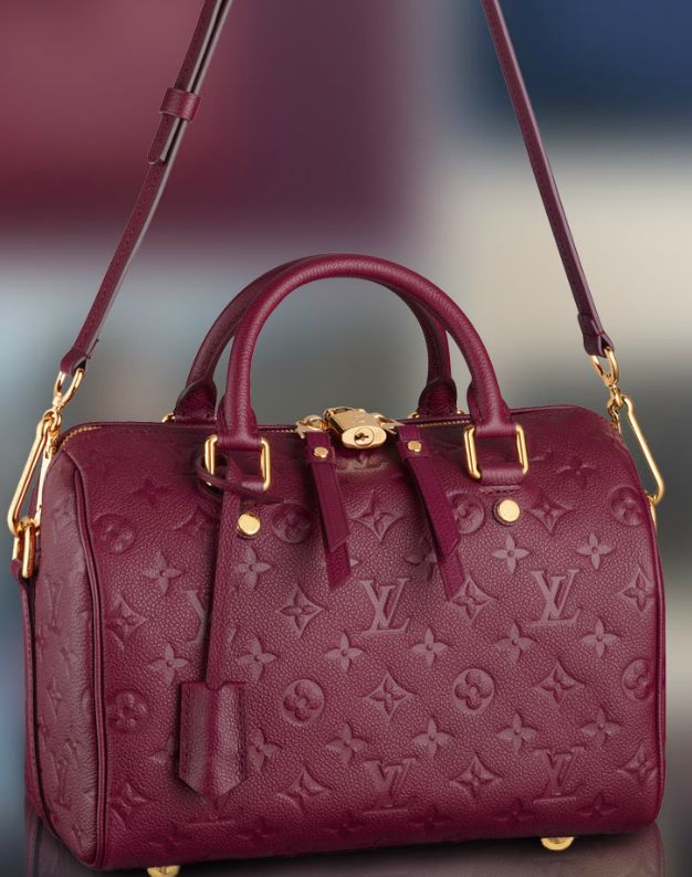 LV Speedy Burgundy