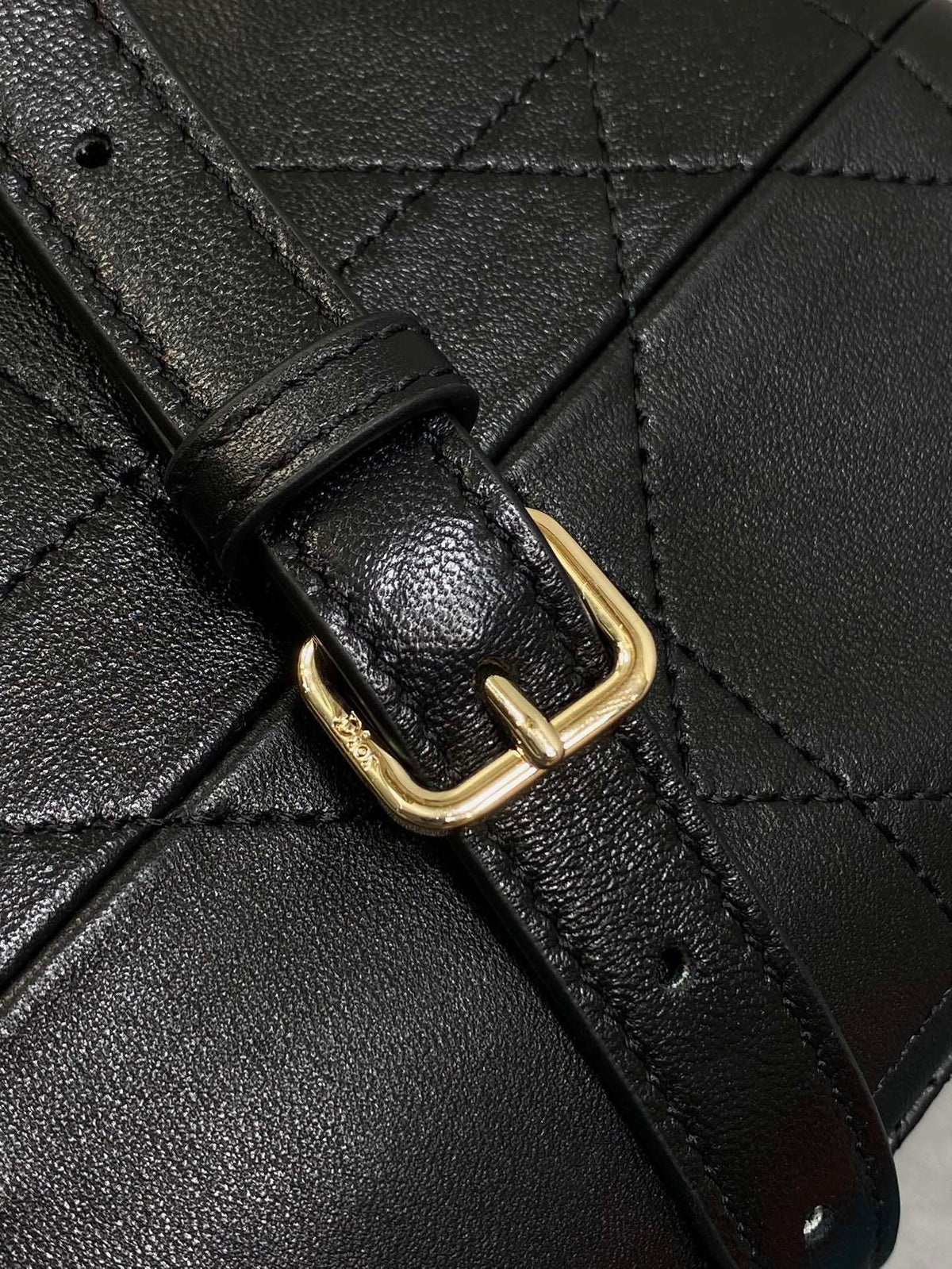 Dior Trianon bag in Black Gold Hardware