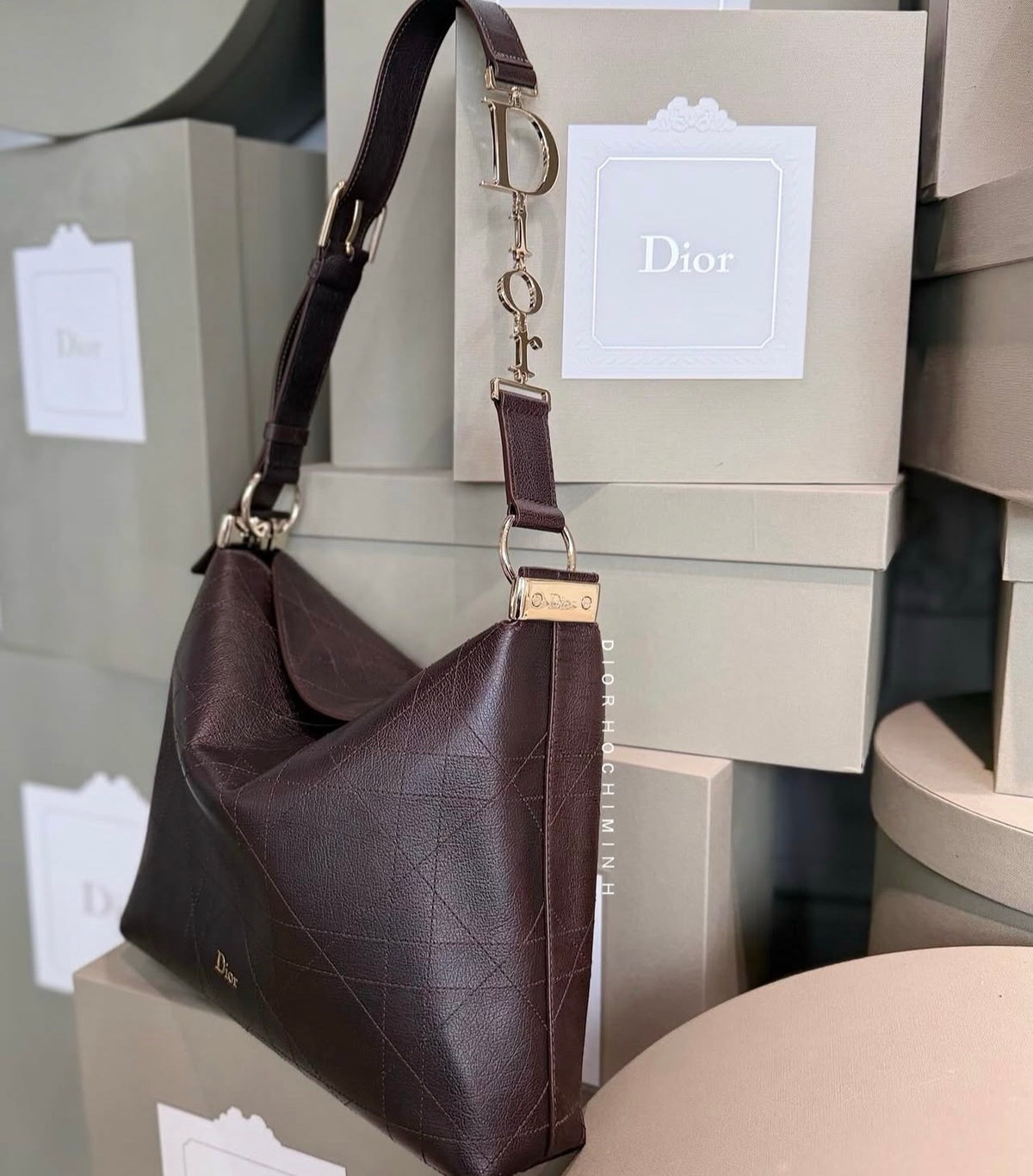 Diorly Bag in Brown