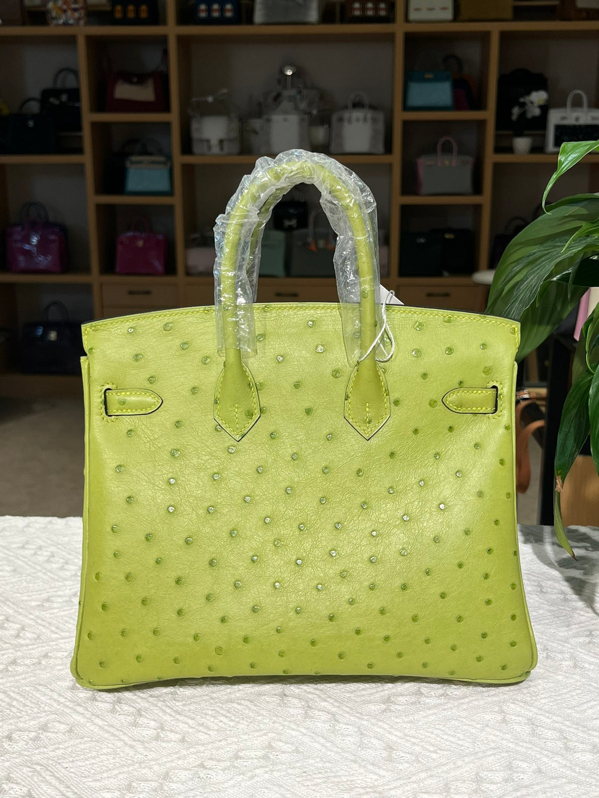 Hermes Birkin 25cm Ostrich Leather Gold Hardware