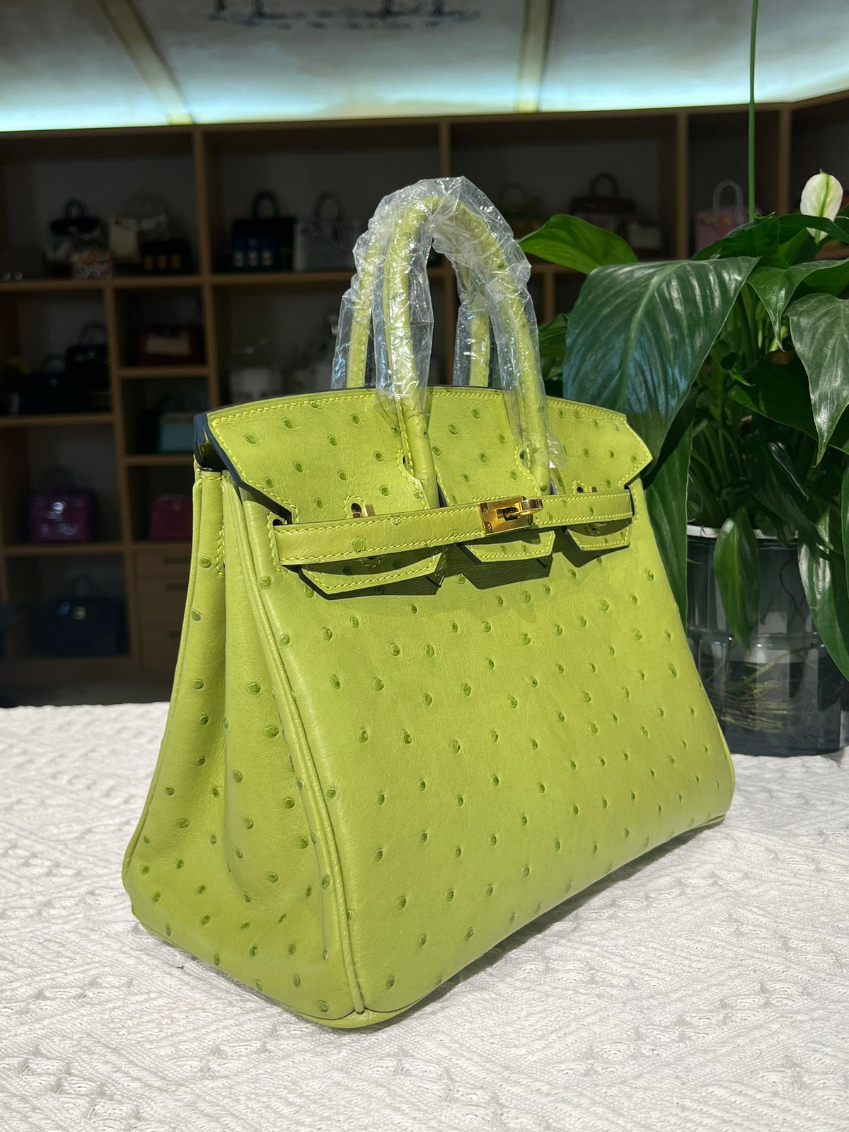 Hermes Birkin 25cm Ostrich Leather Gold Hardware