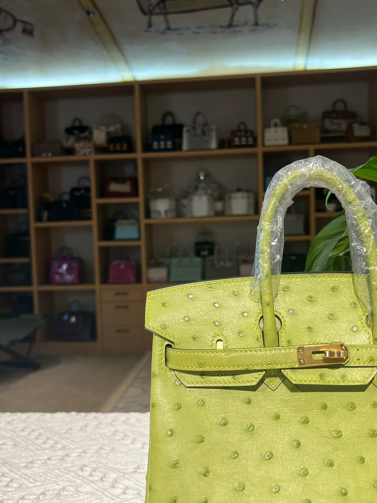 Hermes Birkin 25cm Ostrich Leather Gold Hardware