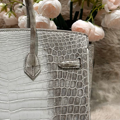 Hermes Birkin 25cm Himalaya Crocodile Leather Silver Hardware
