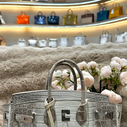 Hermes Birkin 25cm Himalaya Crocodile Leather Silver Hardware