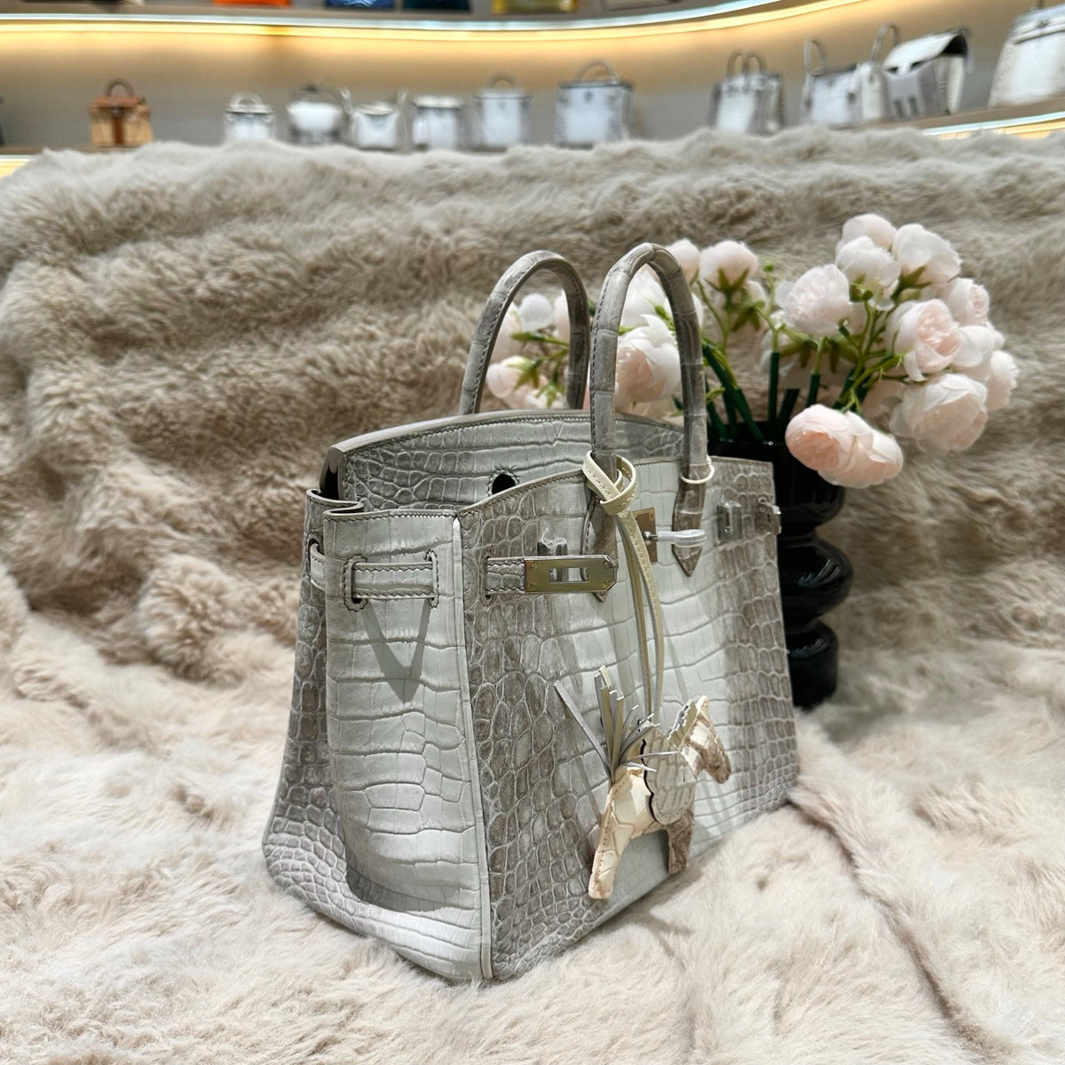 Hermes Birkin 25cm Himalaya Crocodile Leather Silver Hardware