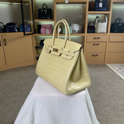 Hermes Birkin 35cm Crocodile Leather Gold Hardware