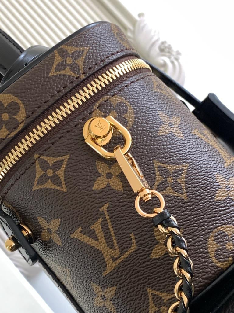 Louis Vuitton Vanity Chain Pouch