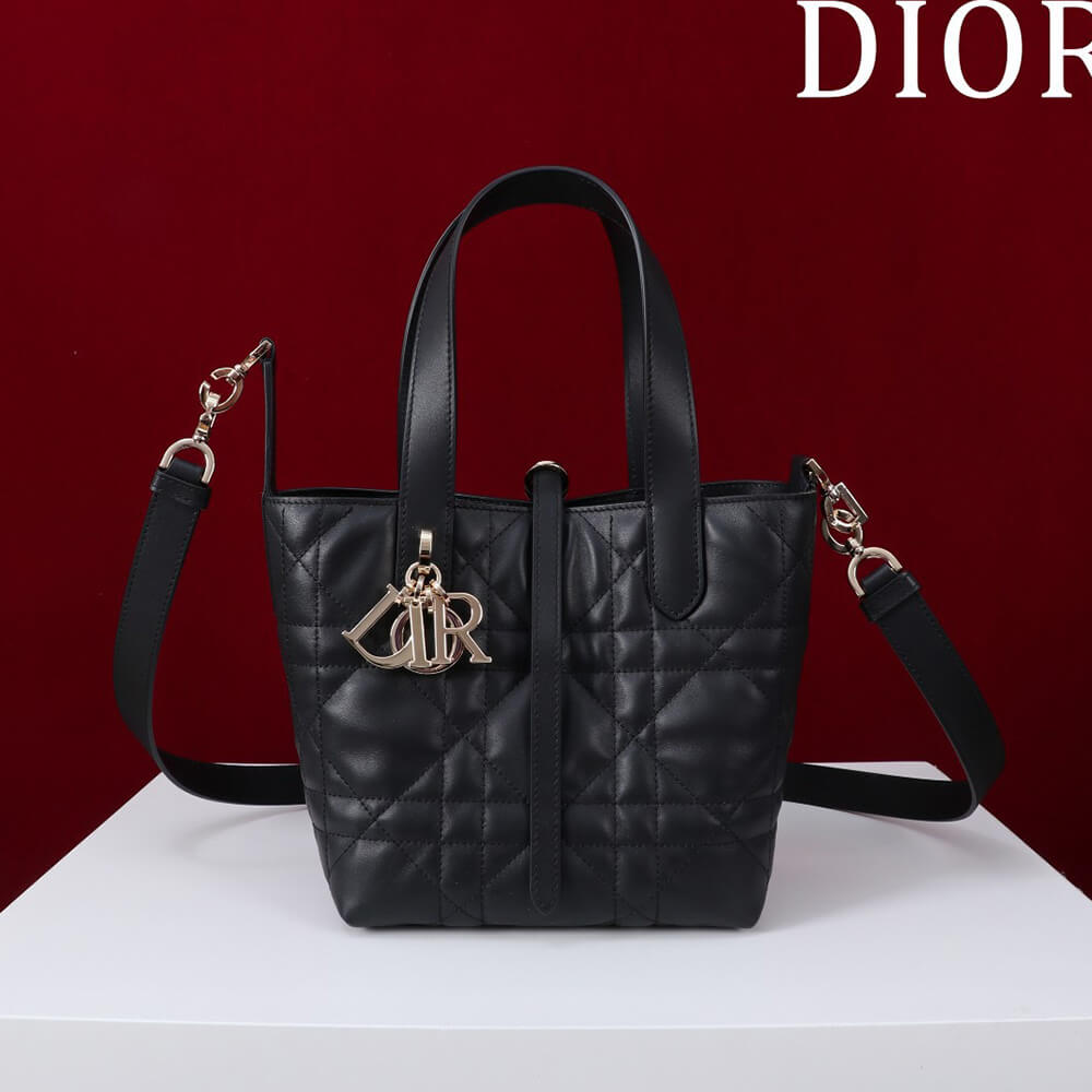 Small Dior Toujours Vertical Tote Bag