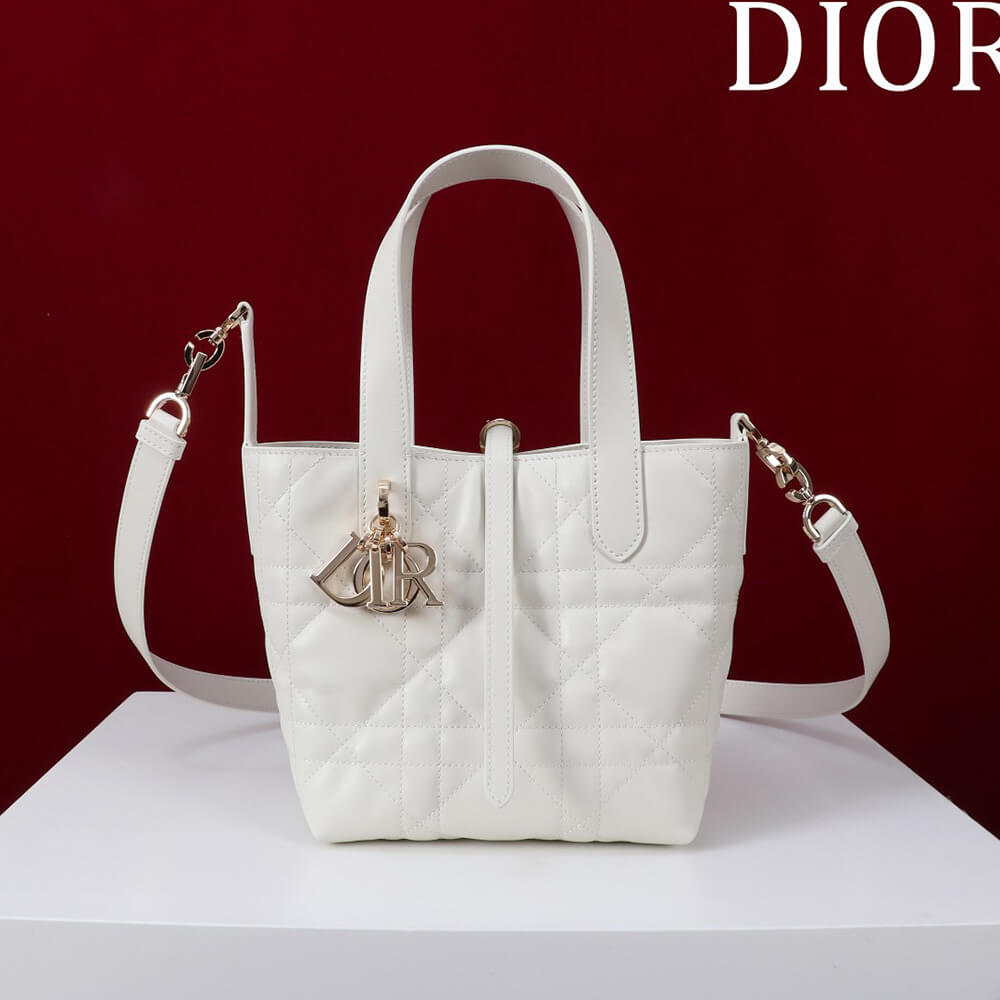 Small Dior Toujours Vertical Tote Bag