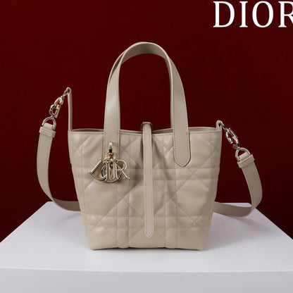 Small Dior Toujours Vertical Tote Bag