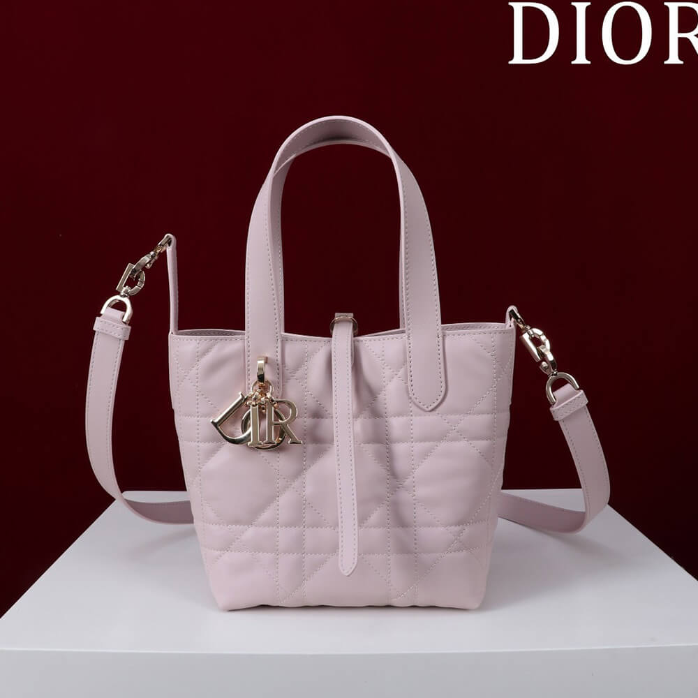Small Dior Toujours Vertical Tote Bag