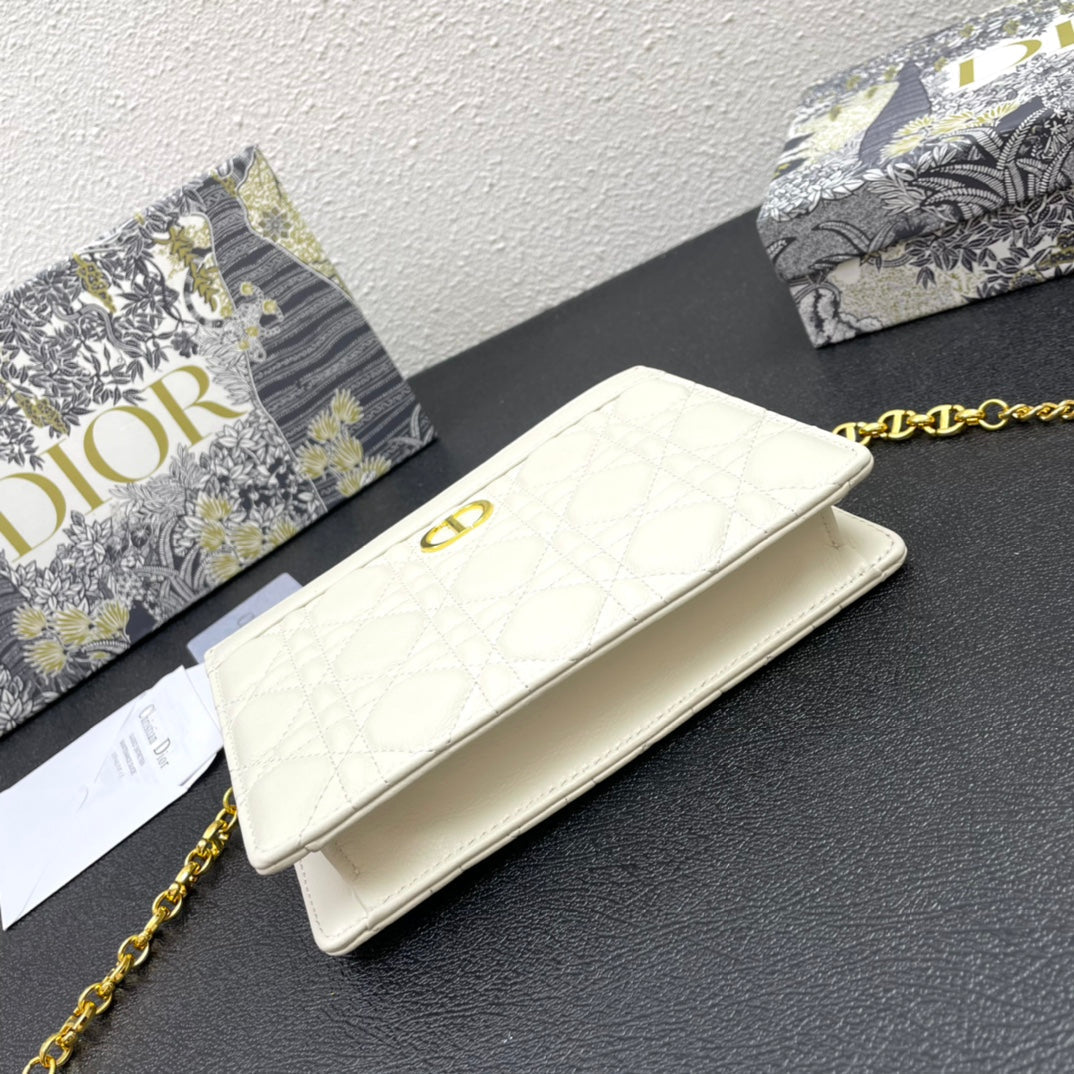 CARO POUCH 19 BAG IN WHITE CALFSKIN