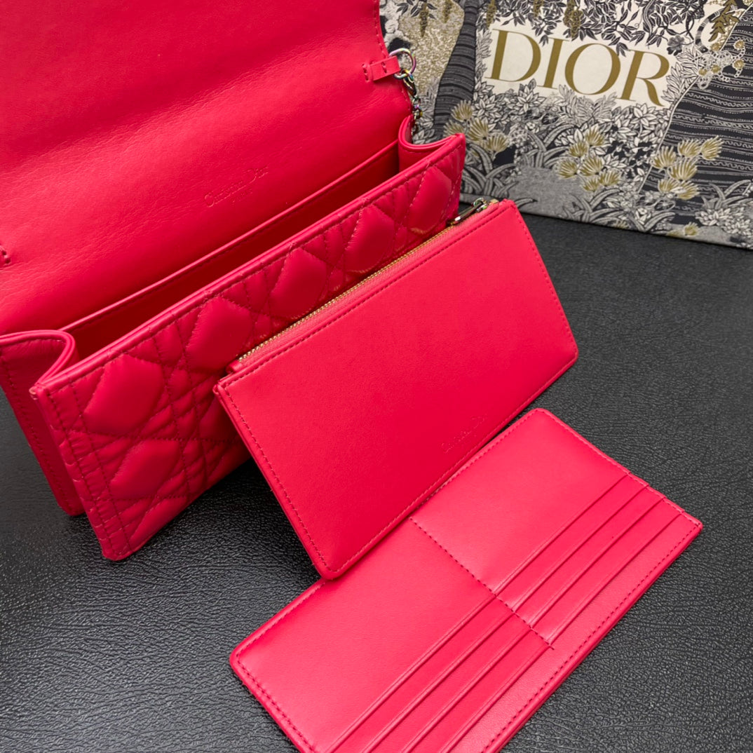 CARO SLIM POUCH 21 BAG IN CHERRY RED CALFSKIN