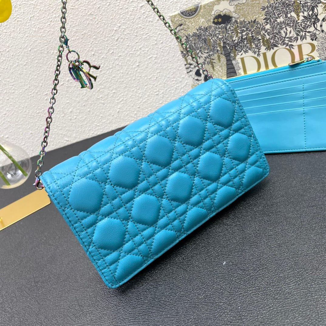 CARO SLIM POUCH 21 BAG IN SKY BLUE CALFSKIN
