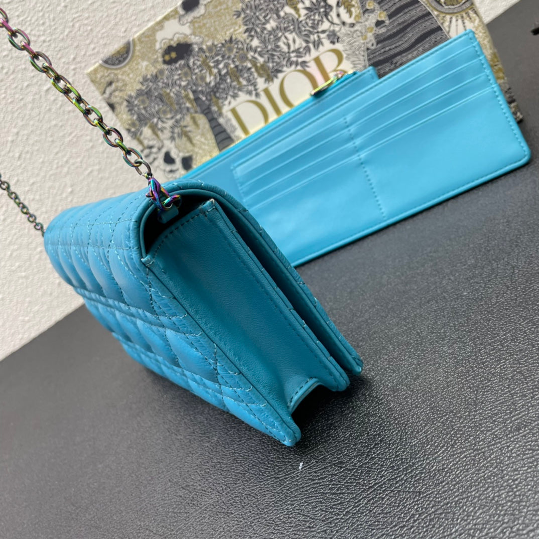 CARO SLIM POUCH 21 BAG IN SKY BLUE CALFSKIN