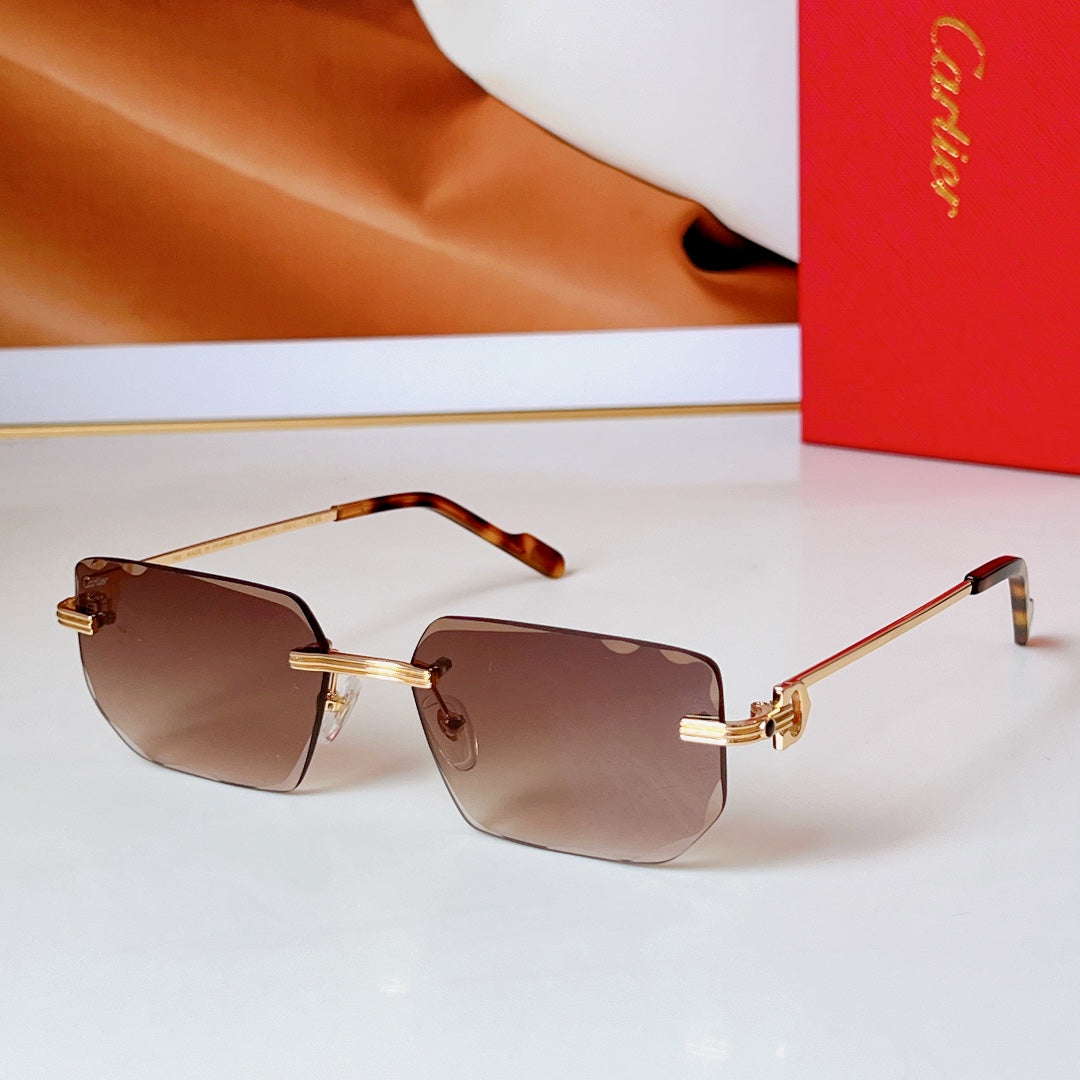 C DE RIMLESS RECTANGULAR FRAME SUNGLASSES CT0627S IN METAL