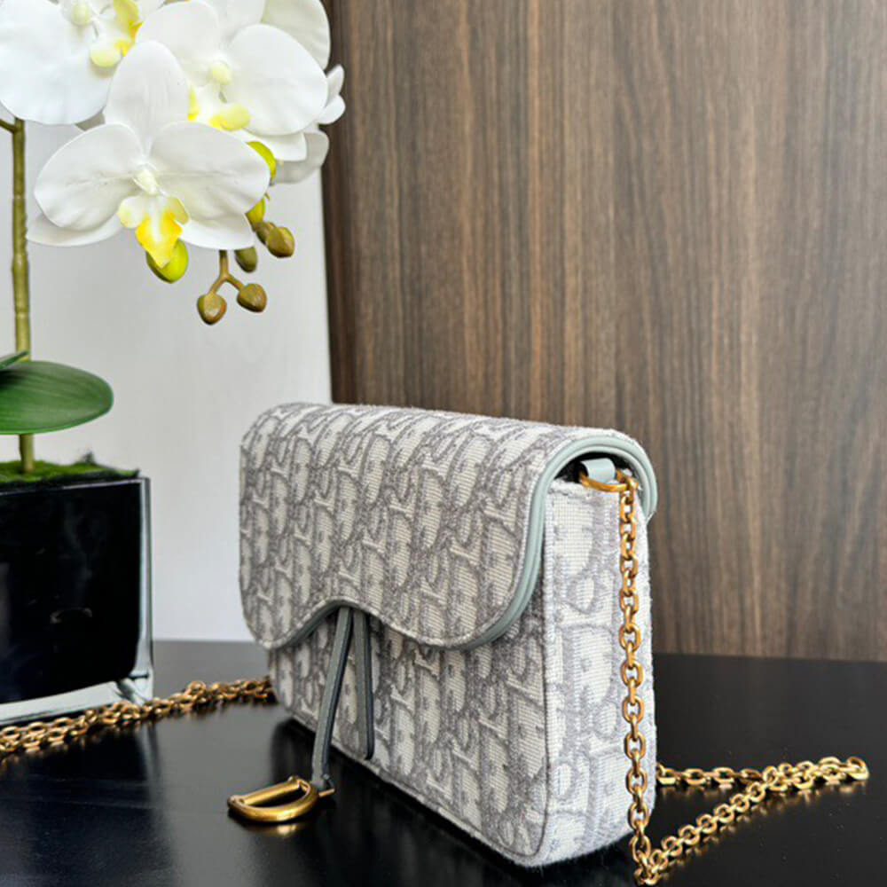 Dior Medium Saddle Pouch with Chain