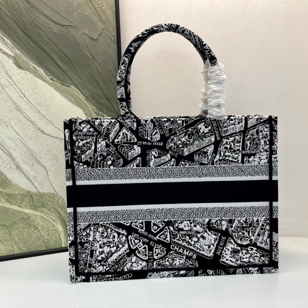 DIOR Medium Book Tote
