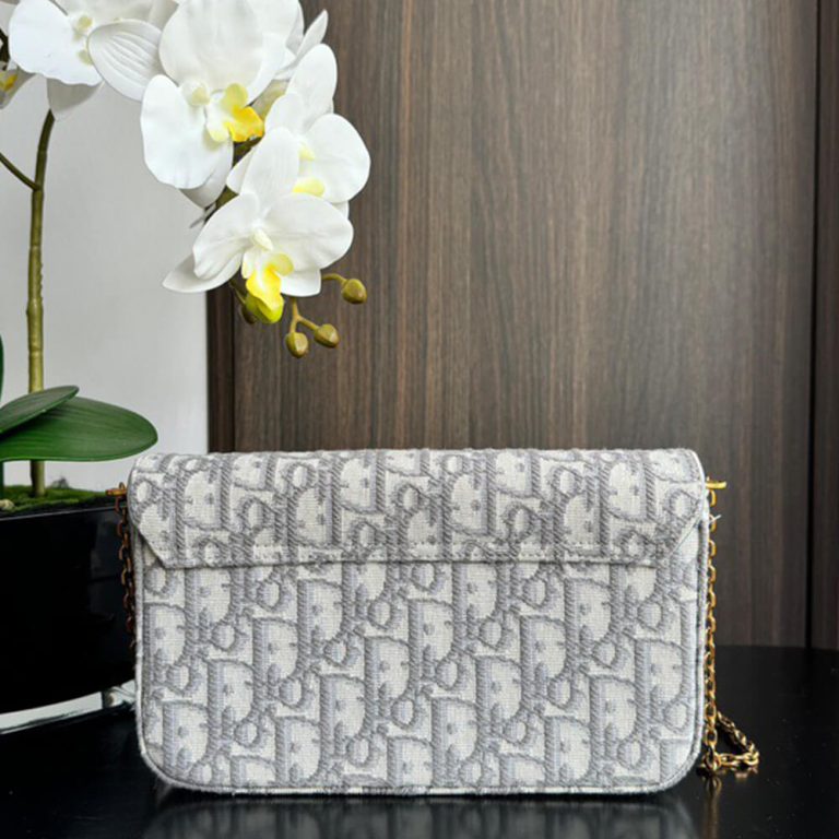 Dior Medium Saddle Pouch with Chain