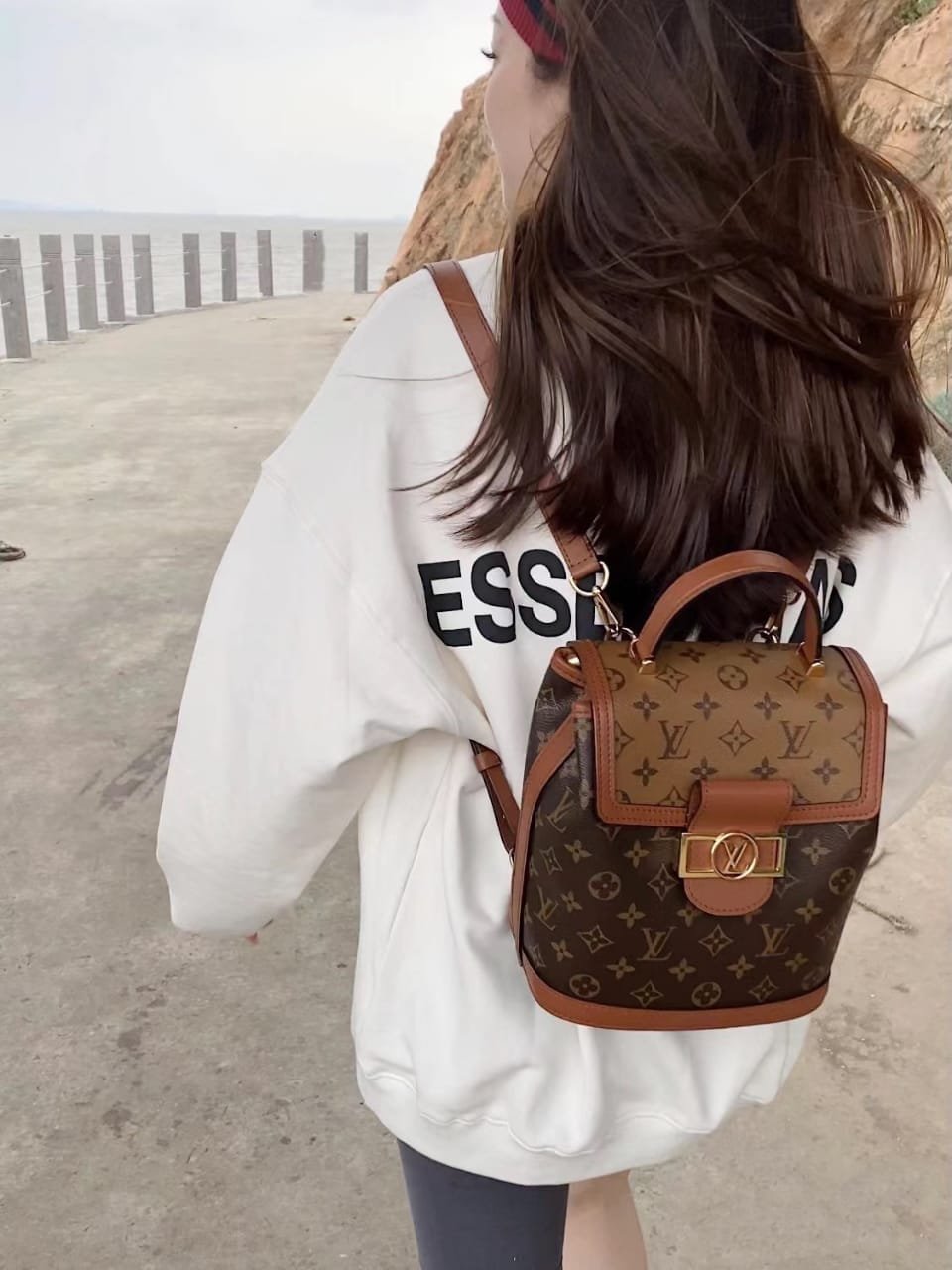 Louis Vuitton Dauphine Monogram Reverse PM backpack