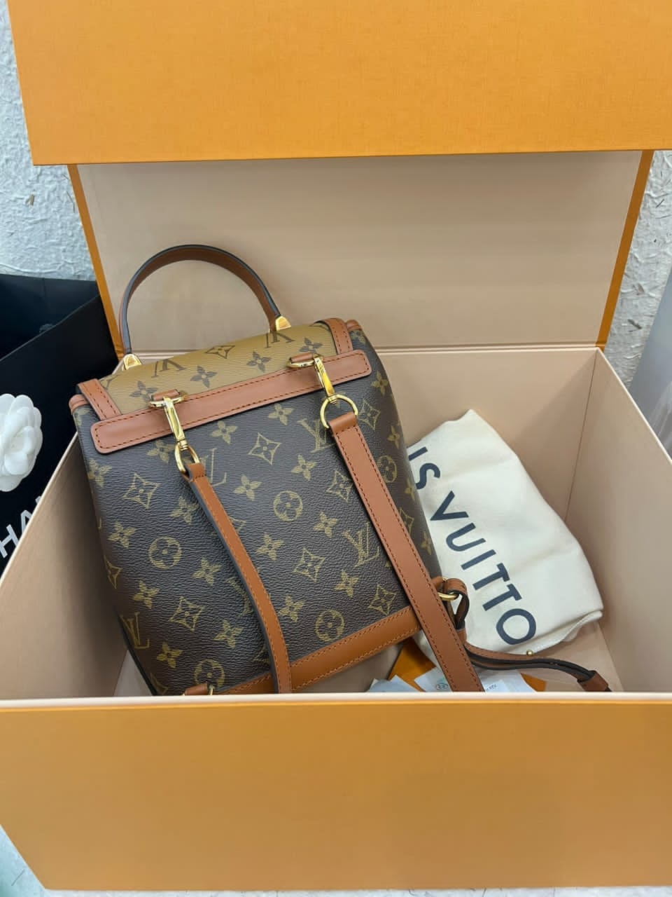 Louis Vuitton Dauphine Monogram Reverse PM backpack