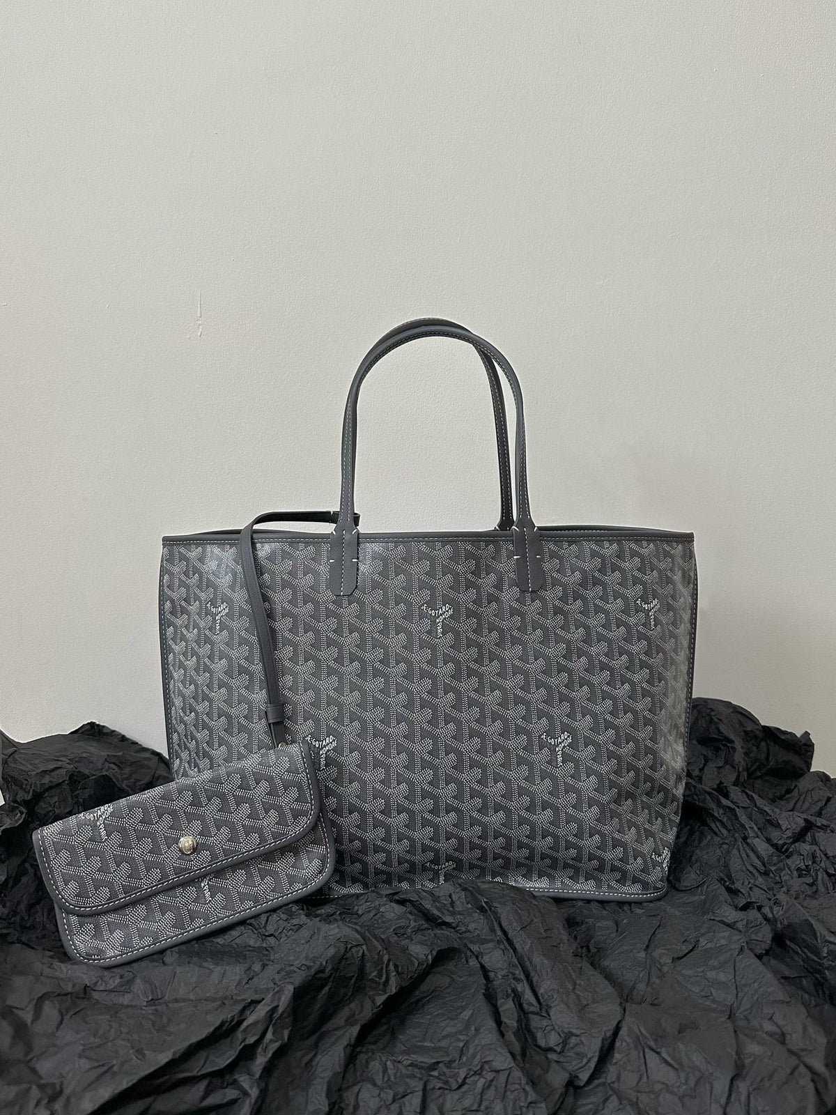 GOYARD St Louis PM Tote Bag