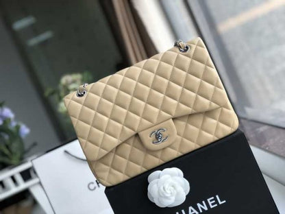 Chanel Classic Double Flap 30 Shoulder Bag Beige Silver Hardware
