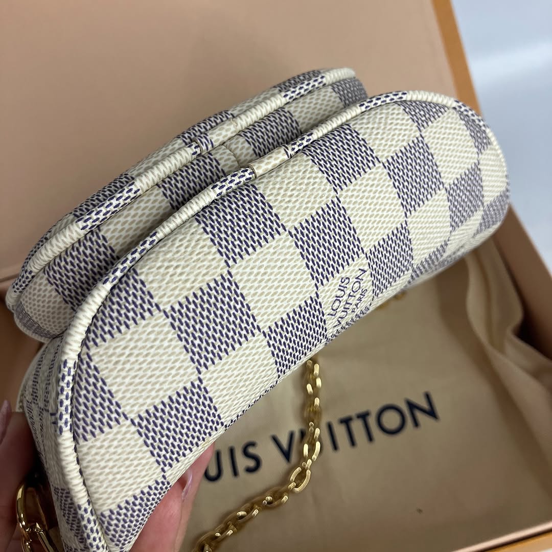 LV mini bumbag bag