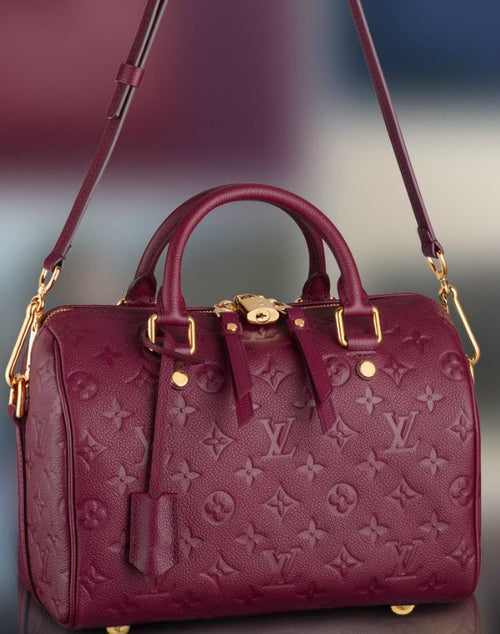 LV Speedy Burgundy