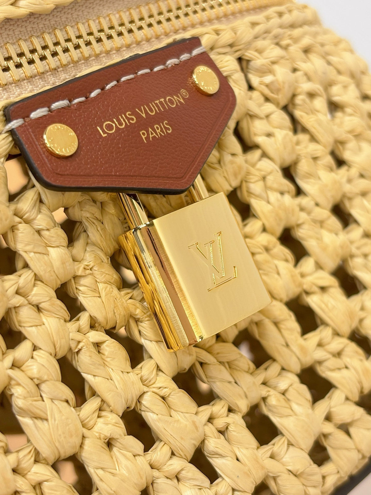 Louis Vuitton Vanity Chain Pouch in raffia