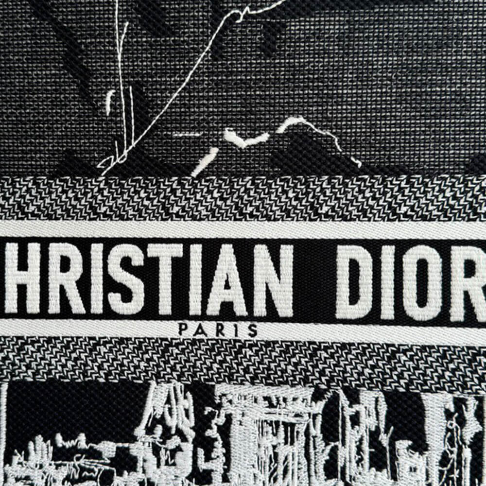 Dior Medium Dior Book Tote