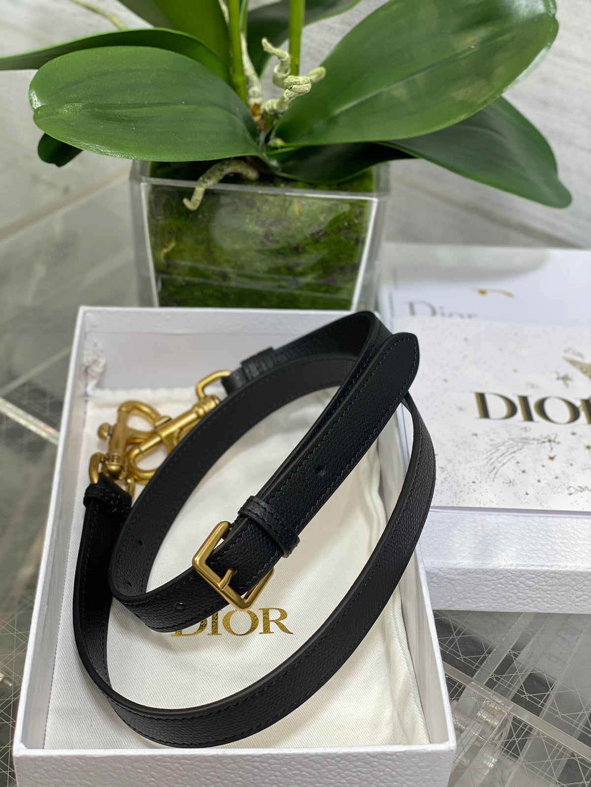 Christian Dior Saddle Bag in Black Gold Hardware