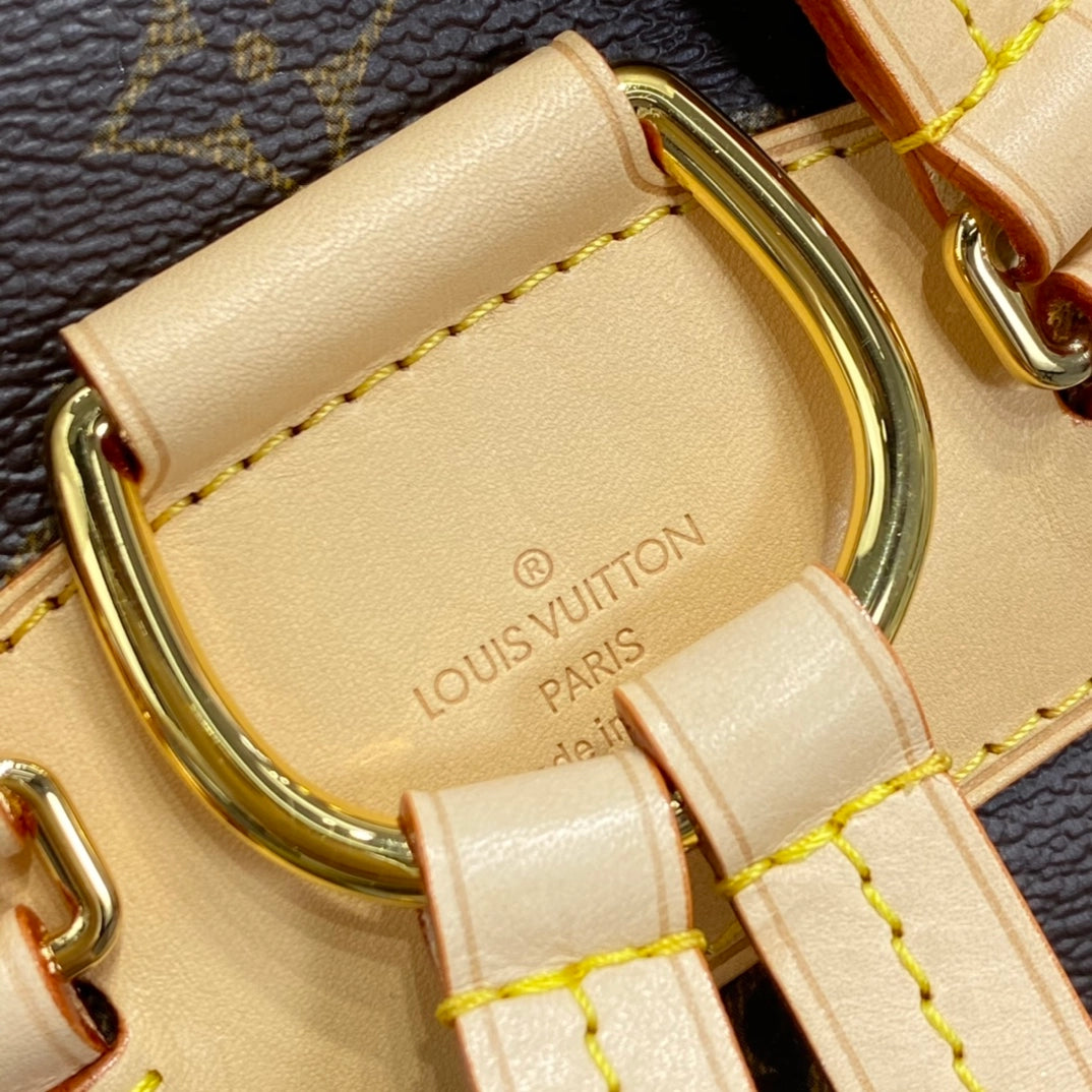 Louis Vuitton Montsouris PM backpack