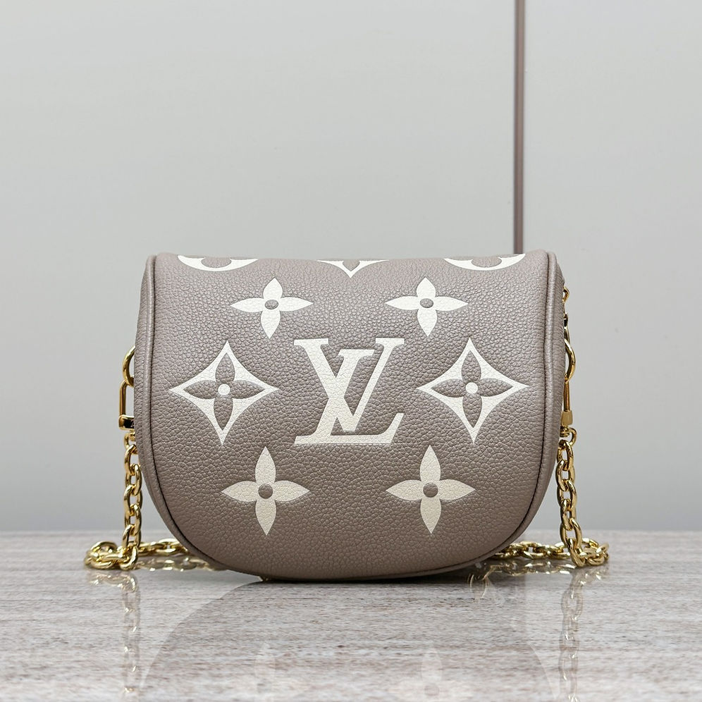 LV mini bumbag bag