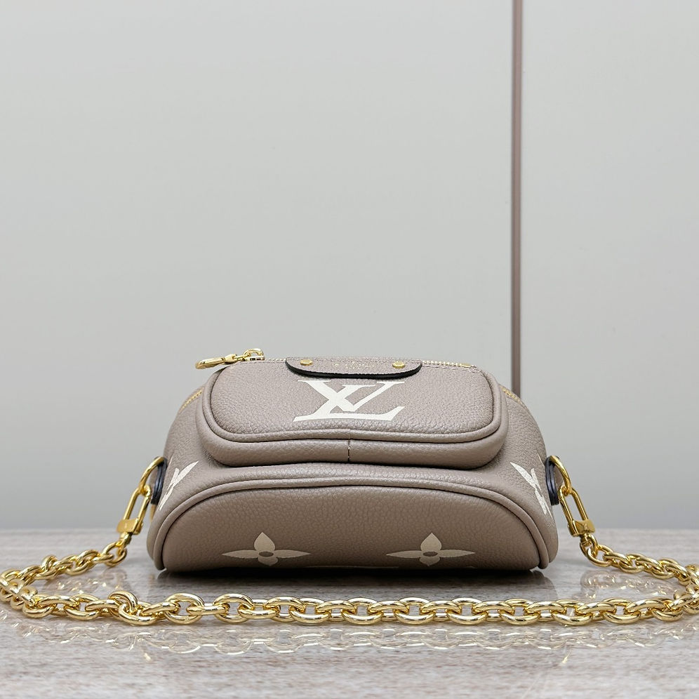 LV mini bumbag bag