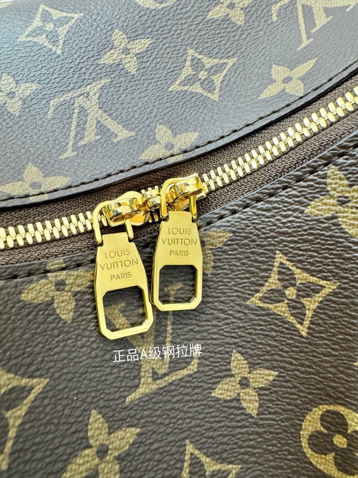 Louis Vuitton Slouchy MM Monogram Canvas Bag