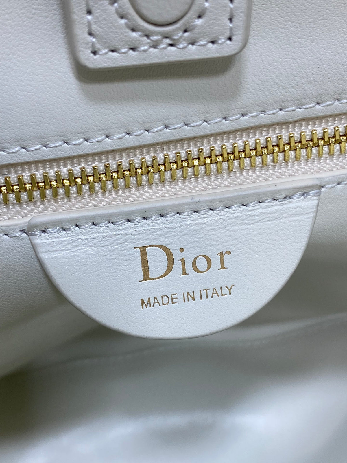 Dior Trianon Bag in White Gold Hardware
