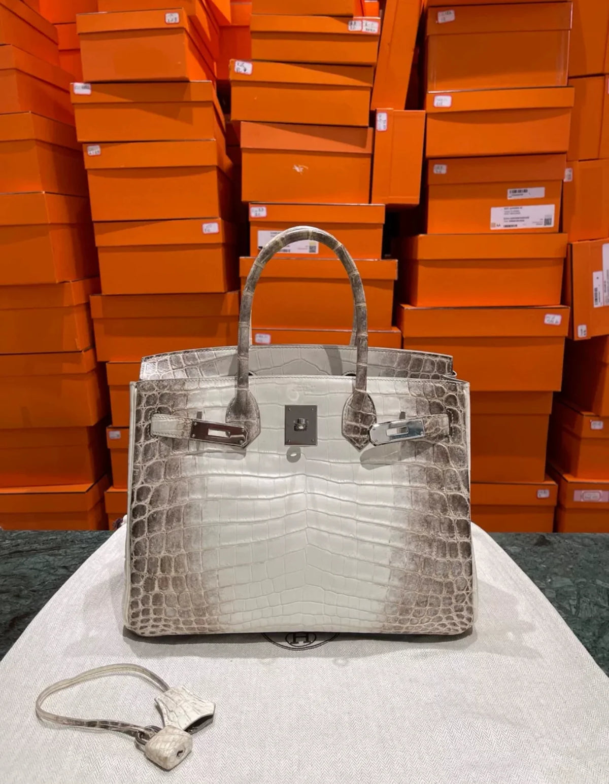 HN 30 Himalaya Albino Genuine Crocodile Leather