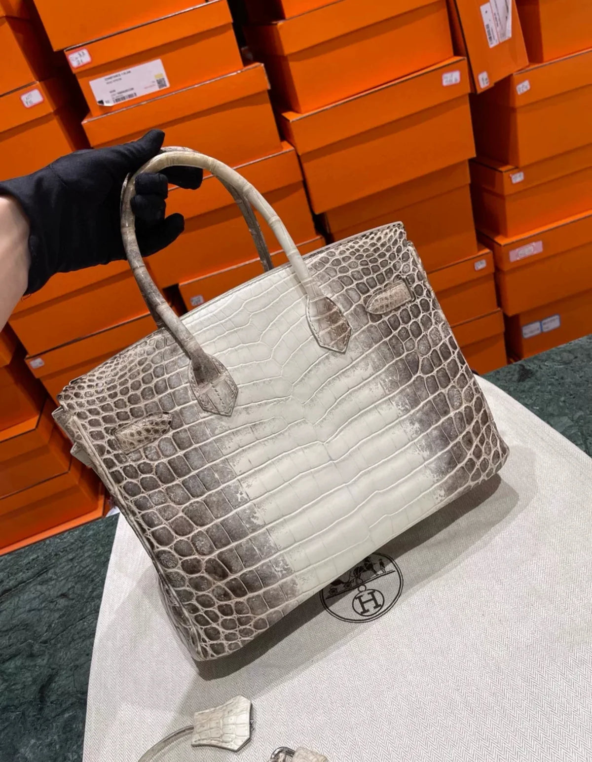 HN 30 Himalaya Albino Genuine Crocodile Leather