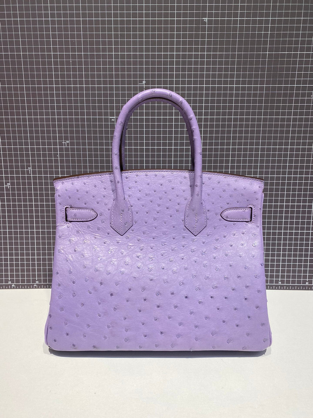 HN 30CM PURPLE OSTRICH LEATHER SILVER HARDWARE