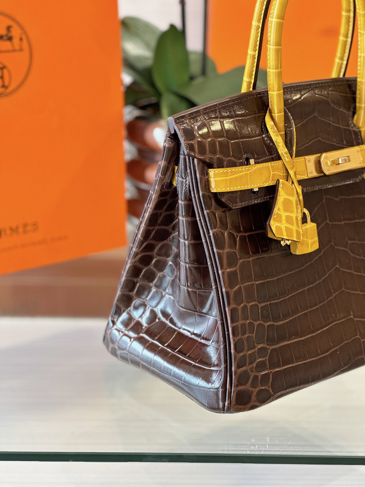 HN 30 Brown/Gold Genuine Crocodile Leather Gold Hardware – Custom Made