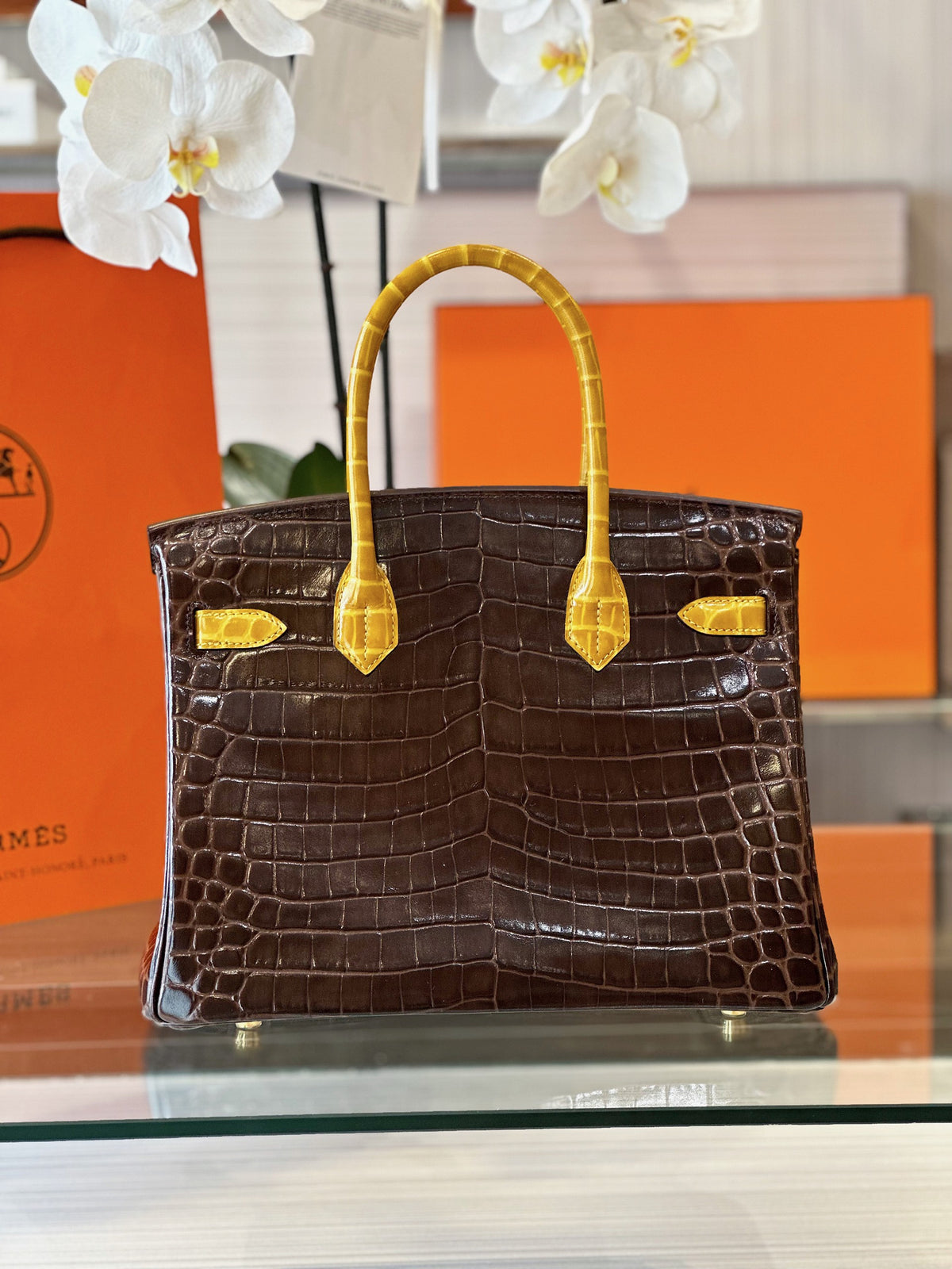 HN 30 Brown/Gold Genuine Crocodile Leather Gold Hardware – Custom Made