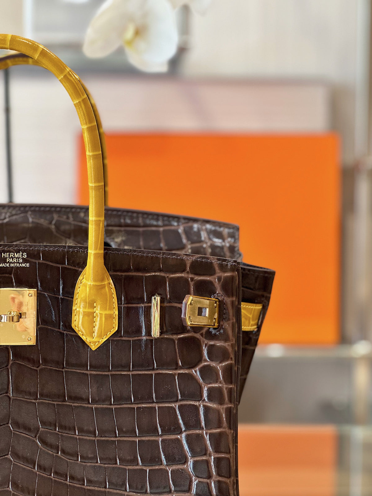 HN 30 Brown/Gold Genuine Crocodile Leather Gold Hardware – Custom Made