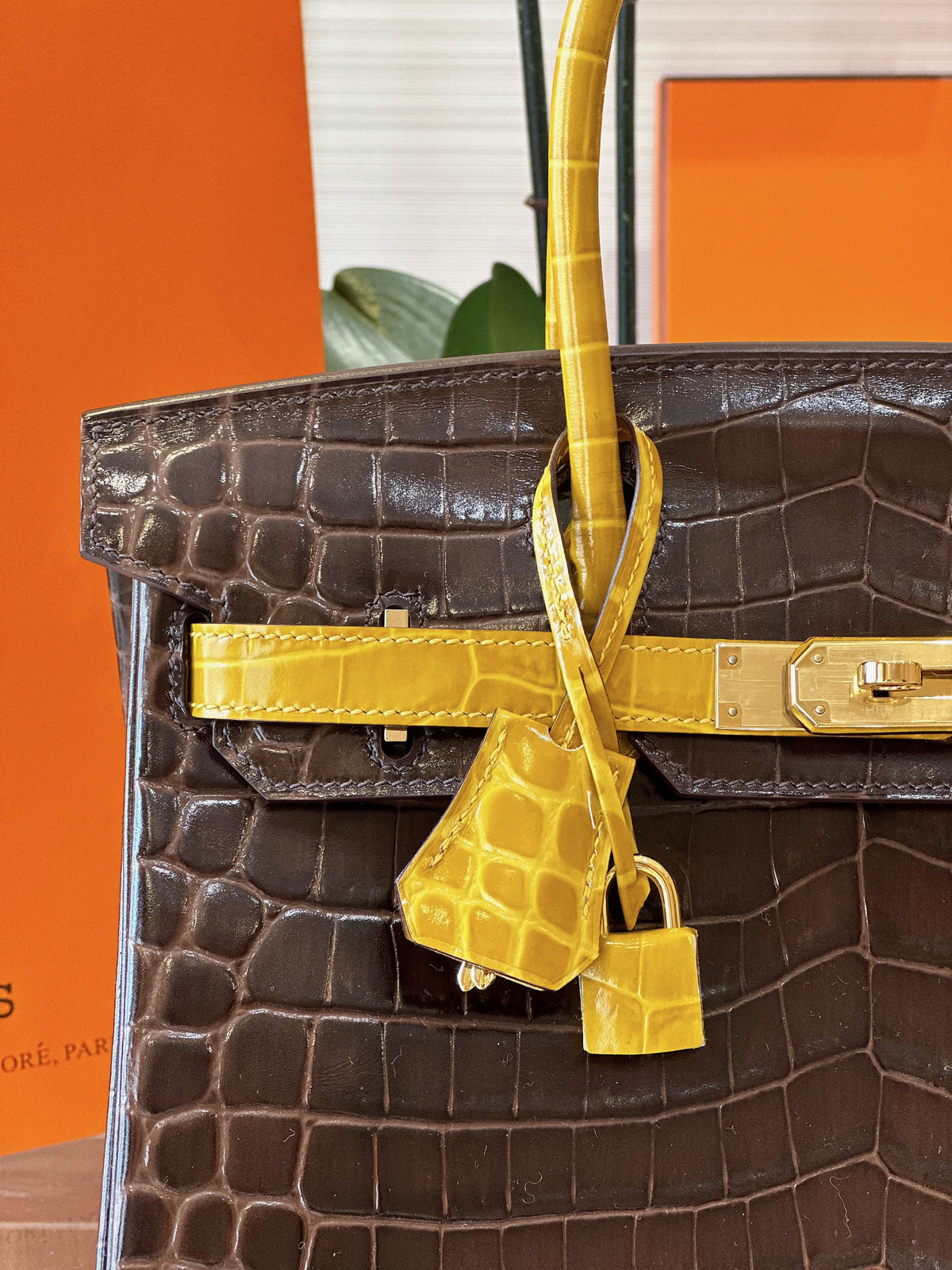 HN 30 Brown/Gold Genuine Crocodile Leather Gold Hardware – Custom Made