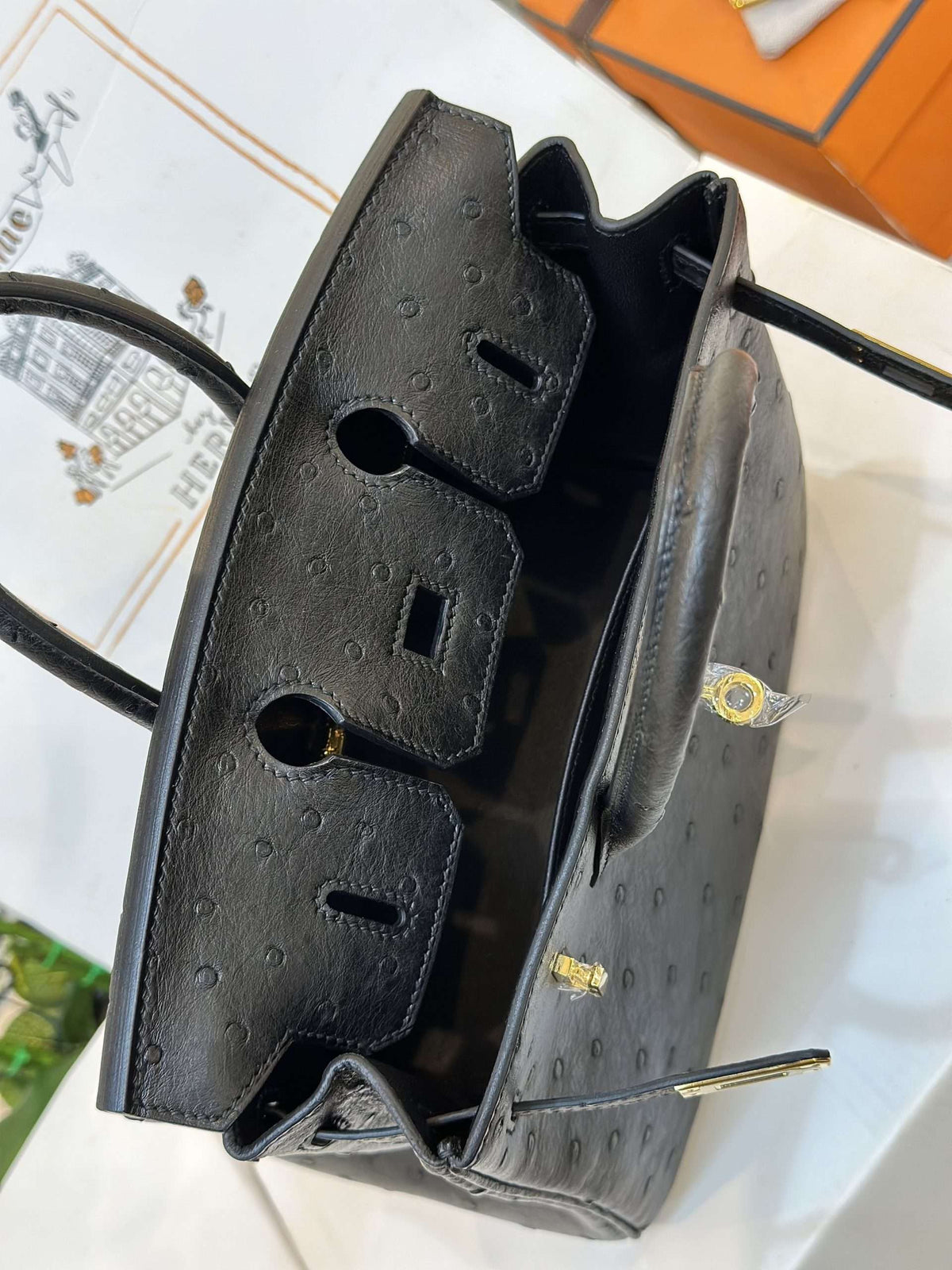 HN 25 Black Ostrich Leather Gold Hardware