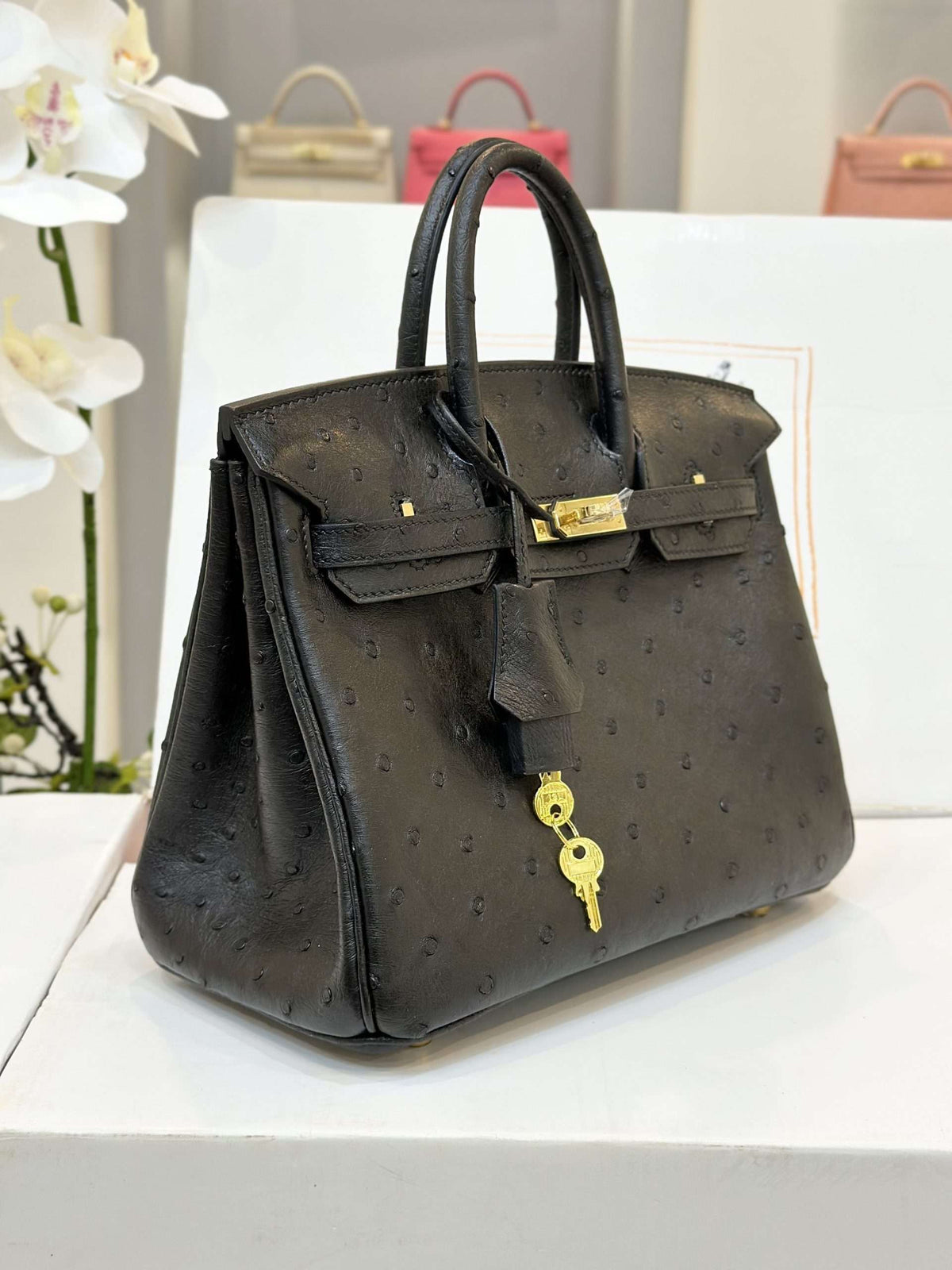 HN 25 Black Ostrich Leather Gold Hardware