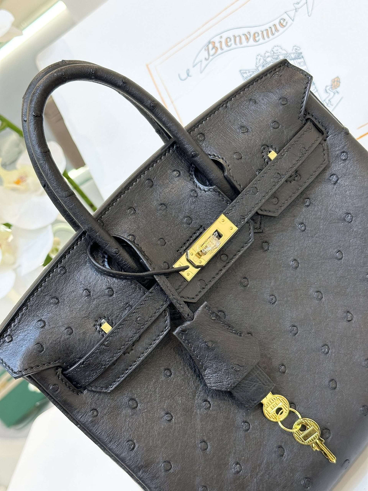 HN 25 Black Ostrich Leather Gold Hardware