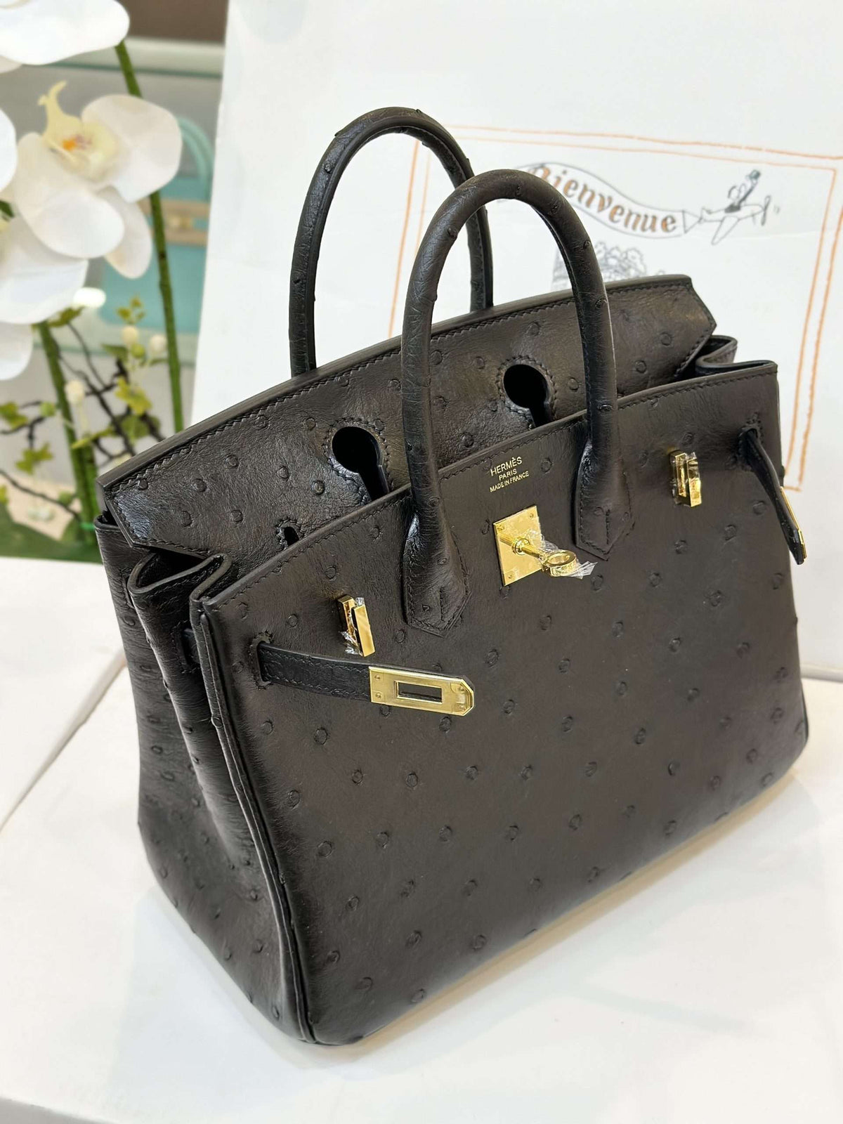 HN 25 Black Ostrich Leather Gold Hardware