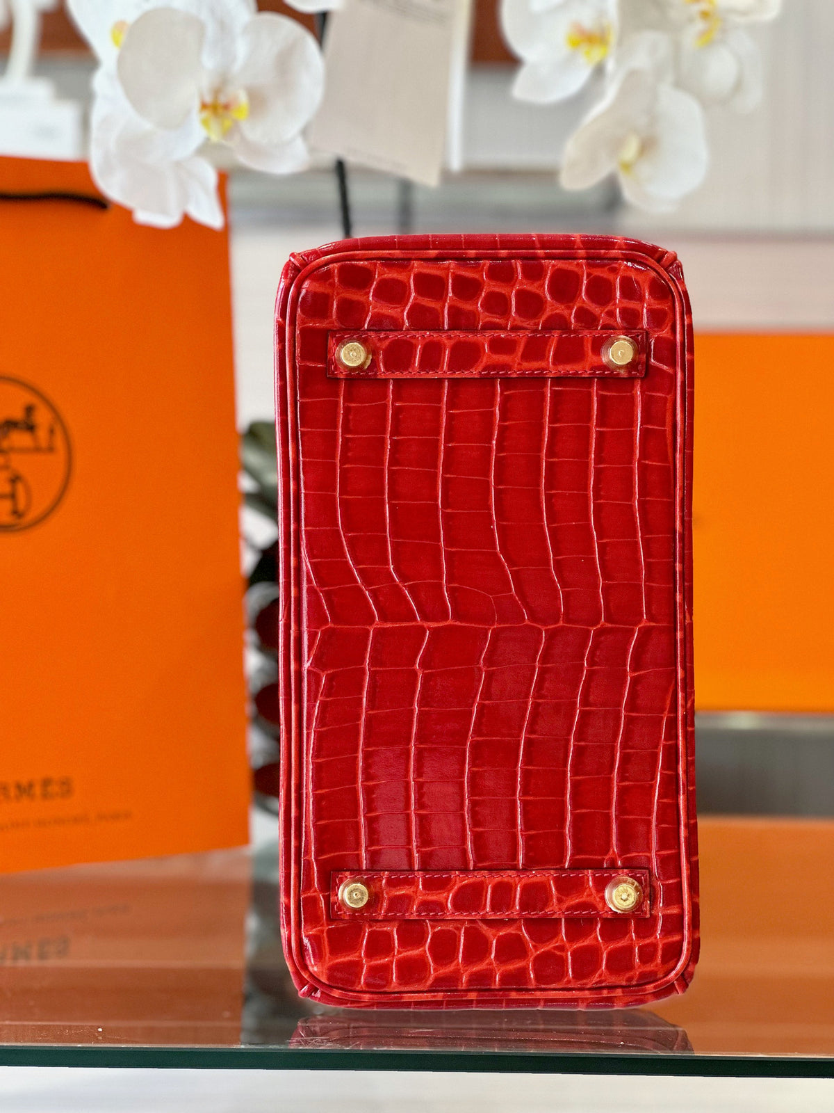 HN 30 Red/Liam Blue Genuine Crocodile Leather Gold Hardware. – Custom Made