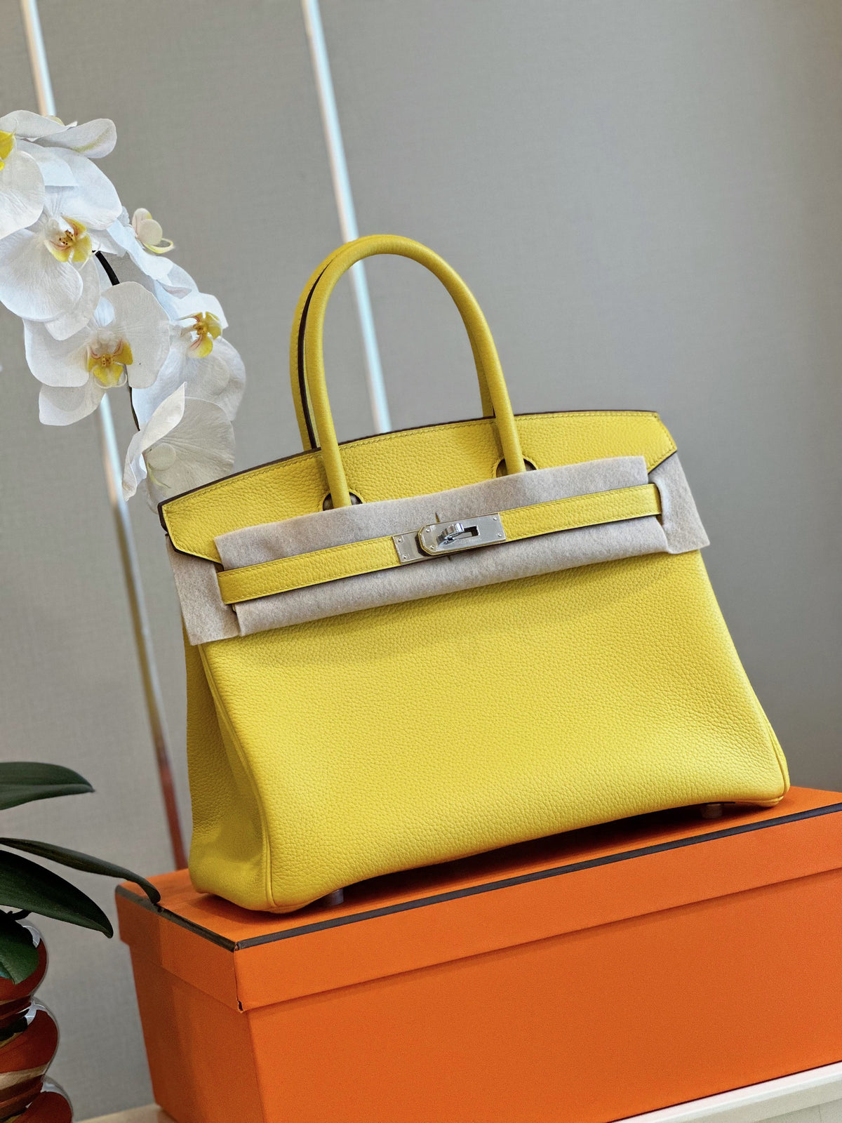 HN 30 Amber Yellow Palladium Hardware